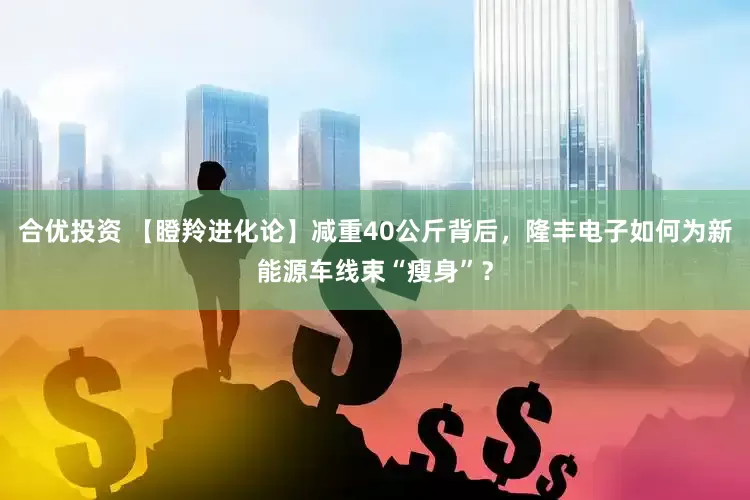 合优投资 【瞪羚进化论】减重40公斤背后，隆丰电子如何为新能源车线束“瘦身”？