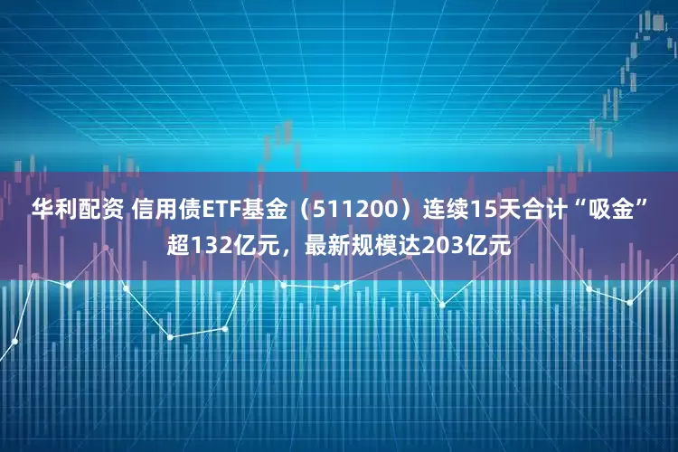 华利配资 信用债ETF基金（511200）连续15天合计“吸金”超132亿元，最新规模达203亿元